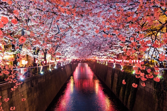 Japón es un destino ideal de Luna de Miel para la primavera.
