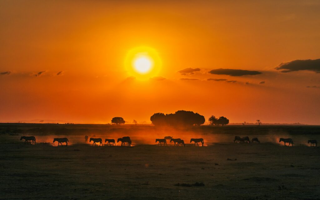 Kenia es un destino ideal para una Luna de Miel en invierno
