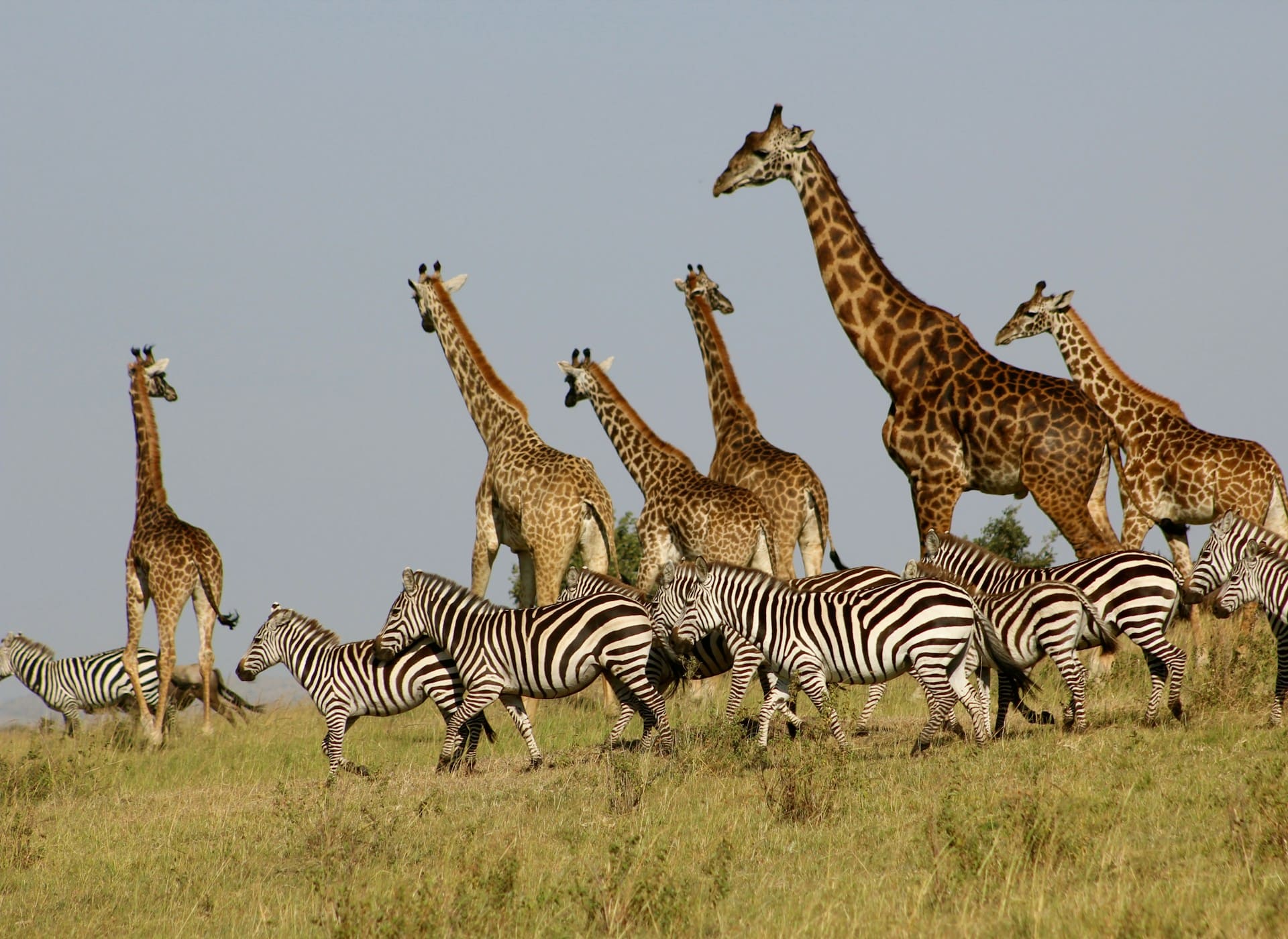 Kenia, destino top para tu luna de miel en verano