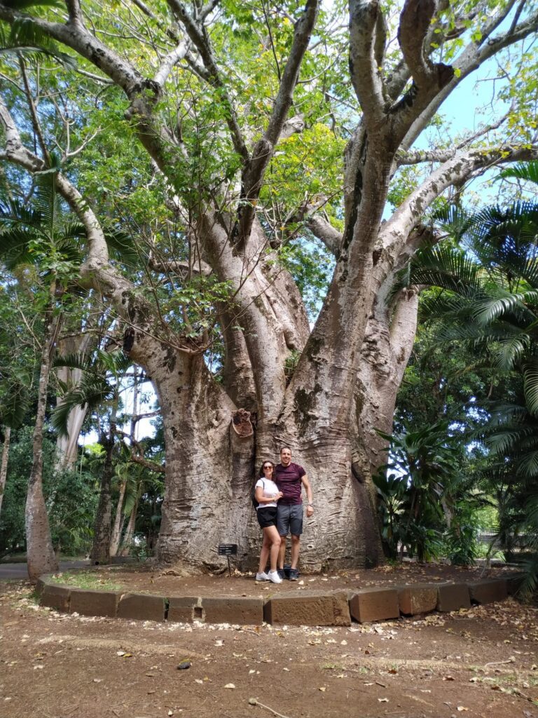 Jardín botánico de Pamplemousses, visita imprescindible que ver en Isla Mauricio