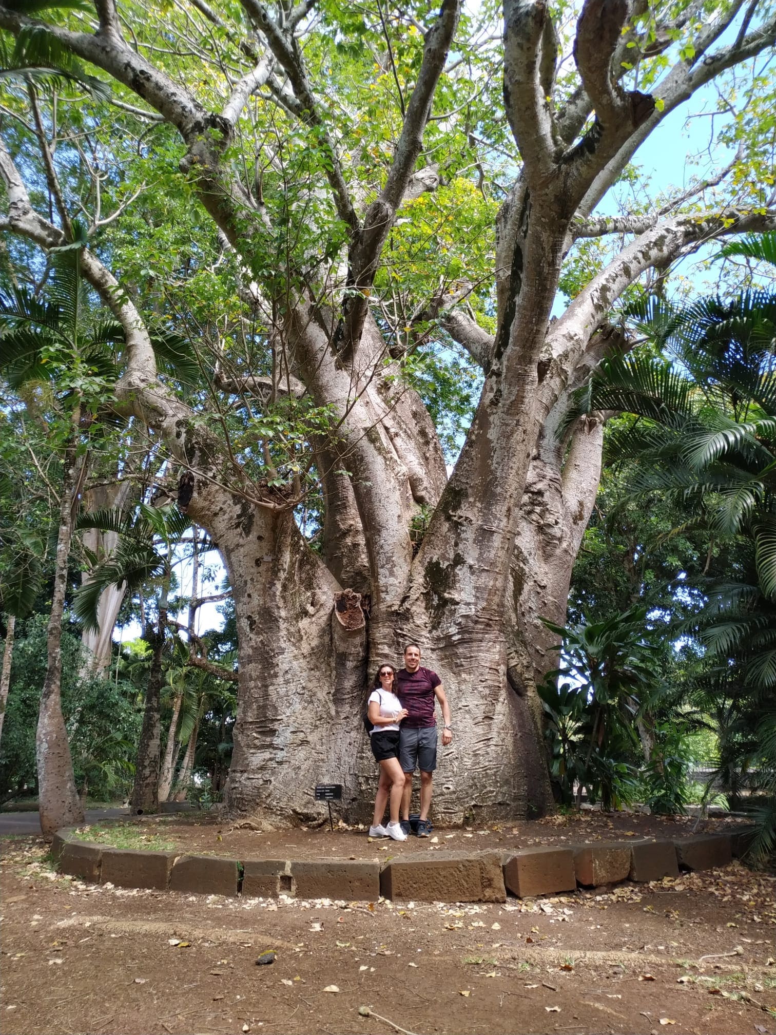 Jardín botánico de Pamplemousses, visita imprescindible que ver en Isla Mauricio