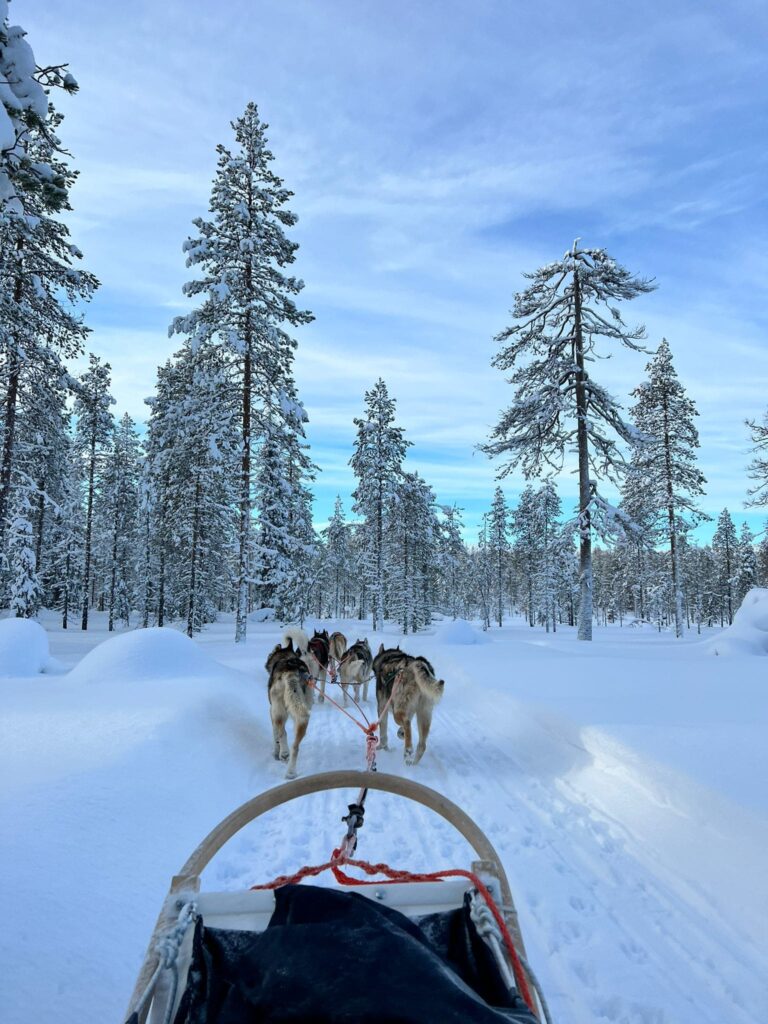 Una actividad superchula en tu viaje a Laponia es montar en un trineo tirado por huskies