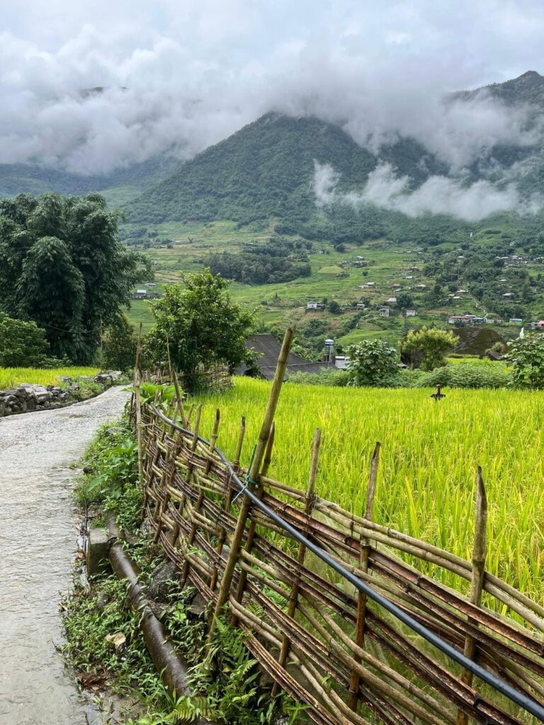 En tu viaje a Vietnam podrás ver los típicos campos de arroz.